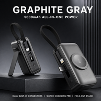 Gray [metallic paint]